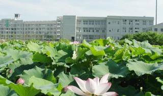 湘潭县一中地址 湘潭县一中地址