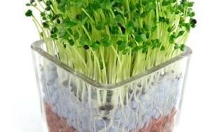 新奇特产品 新奇特产品