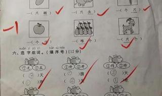 三年级上册期中试卷 三年级上册期中试卷