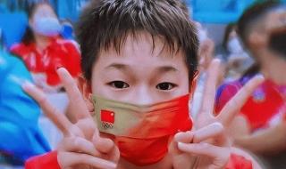 全红婵3跳满分夺金 全红婵3跳满分夺金