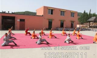 少林寺武校学费 少林寺武校学费