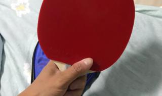 十大乒乓球拍底板排名 十大乒乓球拍底板排名